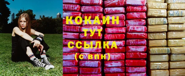 мяу мяу мука Алзамай