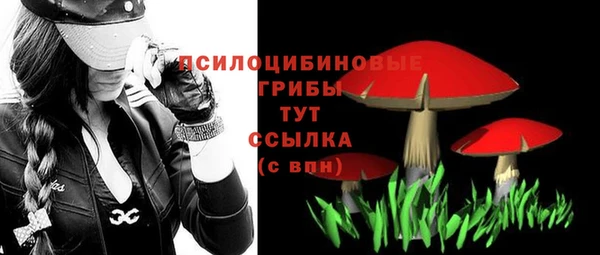 мяу мяу мука Алзамай